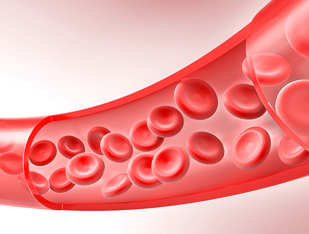 퍼스널프로그램03